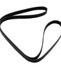 D84-1002-071939 Genuine Paccar Belt-Engine 7 Rib 1939Mm