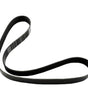 D84-1002-121640 Genuine Paccar Belt-Engine 12 Rib 1640Mm
