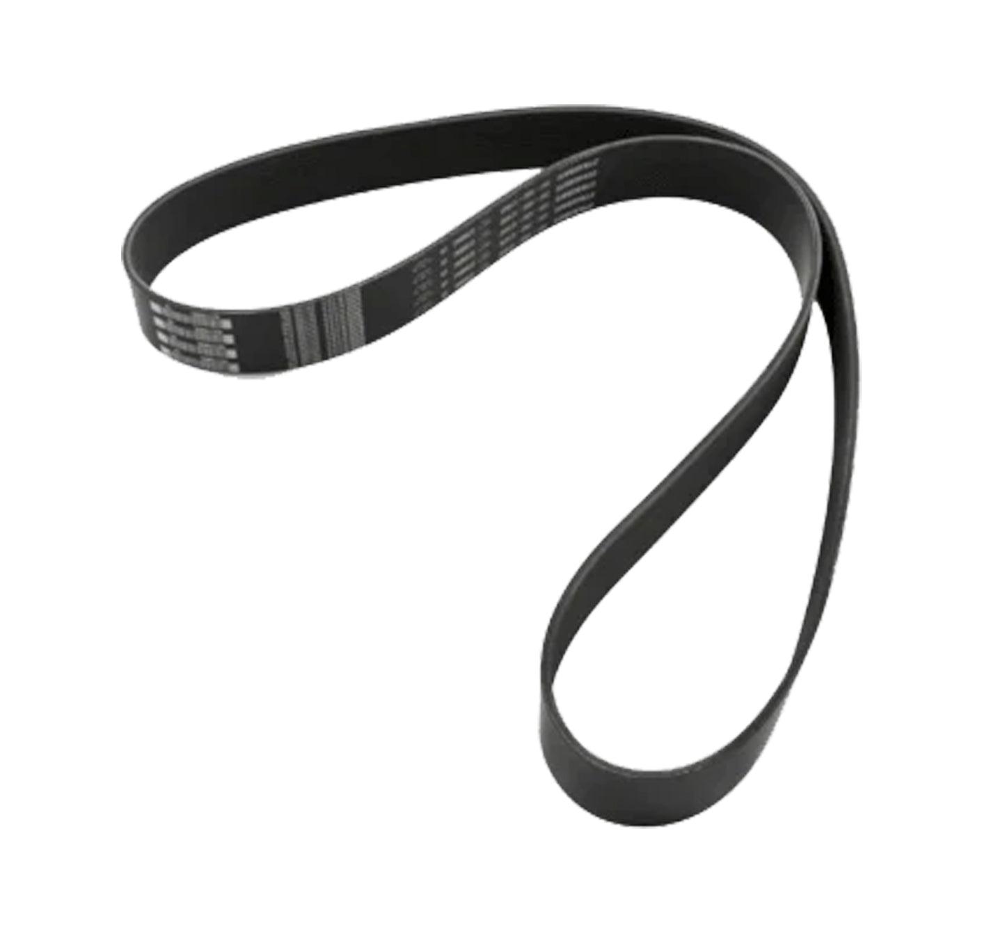 D84-1002-121640 Genuine Paccar Belt-Engine 12 Rib 1640Mm