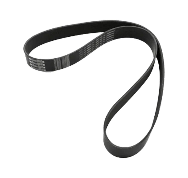 D84-1002-121640 Genuine Paccar Belt-Engine 12 Rib 1640Mm