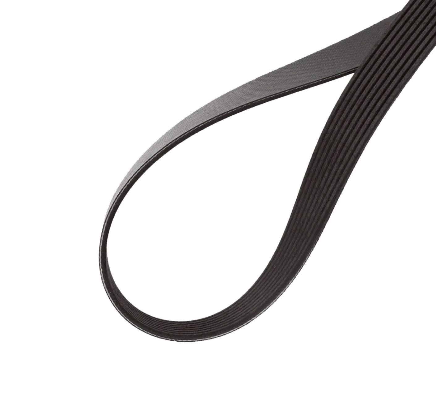 D84-1002-121640 Genuine Paccar Belt-Engine 12 Rib 1640Mm